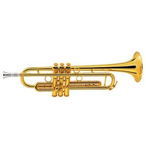 Conn Professional Vintage One Trumpet - 1BSGP