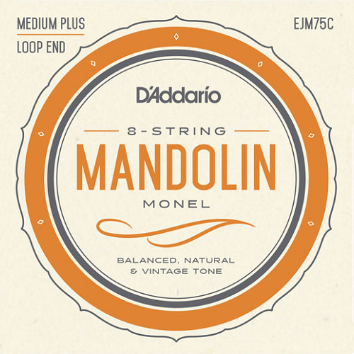 D'Addario EJM75C Monel Mandolin Strings Medium Plus