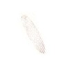 Fox Oboe Silver Oval Plaque - 1308