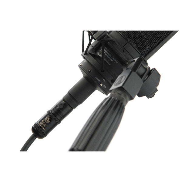 D'Addario American Stage Microphone Cable, XLR Male to XLR Female, 25 feet - PW-AMSM-25