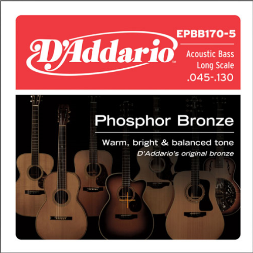 D'Addario  Phosphor Bronze 5-String, Long Scale, 45-130 Acoustic Bass Gutiar Strings