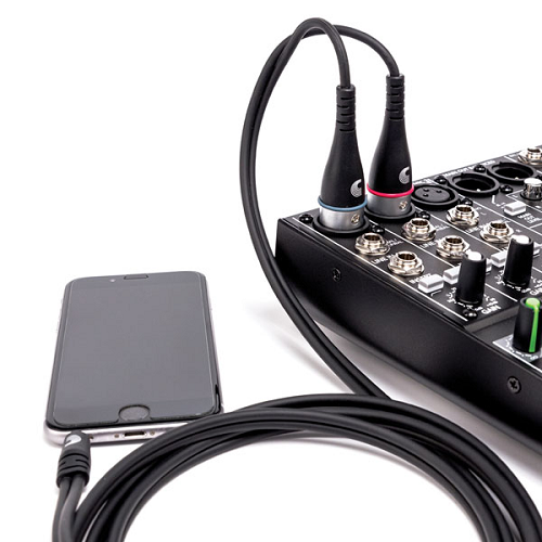 D'Addario  Custom Series 1/8" to Dual XLR Audio Cable