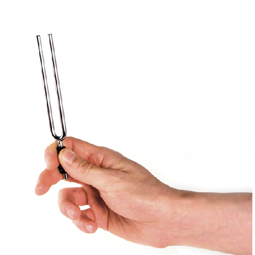 D'Addario  Planet Waves Tuning Fork IN the Key of E